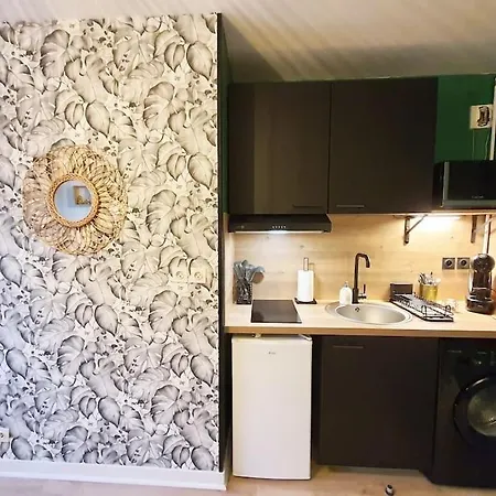 Le Ouistiti - 50 M De La Gare - Parking Prive * טור