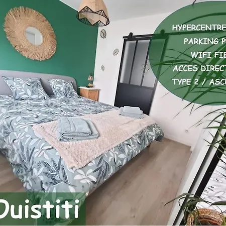 Apartment Le Ouistiti - 50 M De La Gare - Parking Prive *