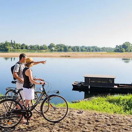 Le Ouistiti - 50 M De La Gare - Parking Prive *