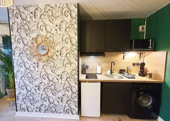 Le Ouistiti - 50 M De La Gare - Parking Prive * Tours