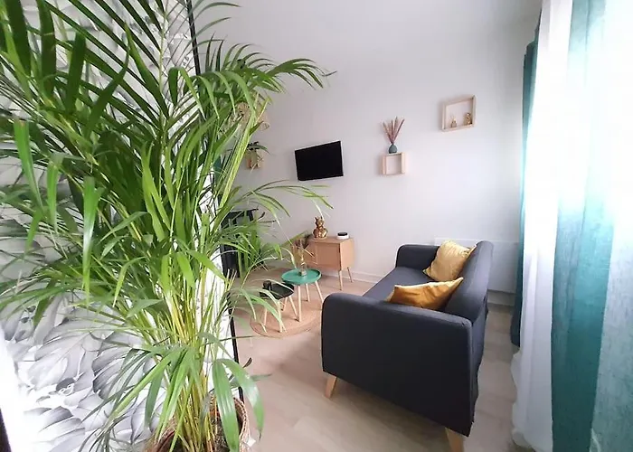 Le Ouistiti - 50 M De La Gare - Parking Prive Tours