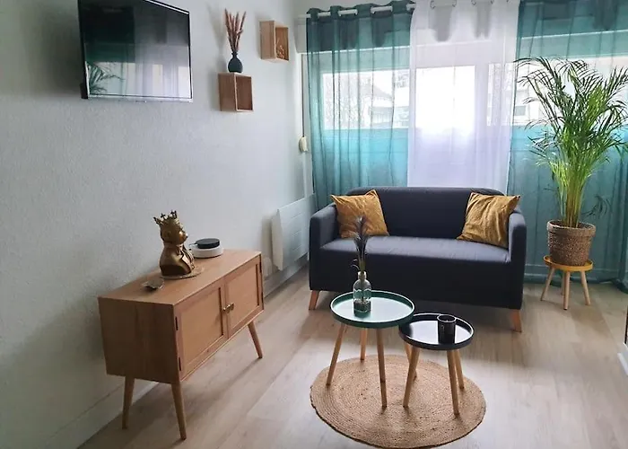 Le Ouistiti - 50 M De La Gare - Parking Prive Apartment